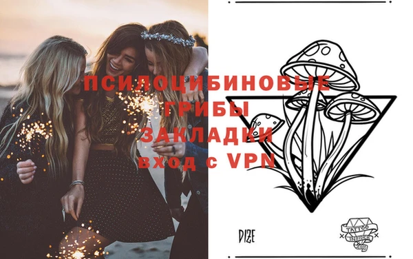 apvp Лагань