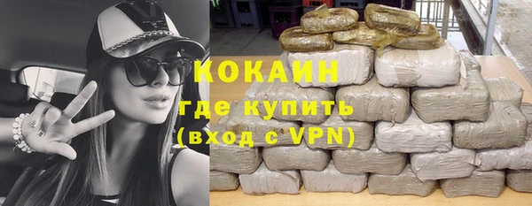 шишки Ладушкин