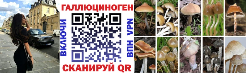 Галлюциногенные грибы Psilocybe  что такое наркотик  Павловская 